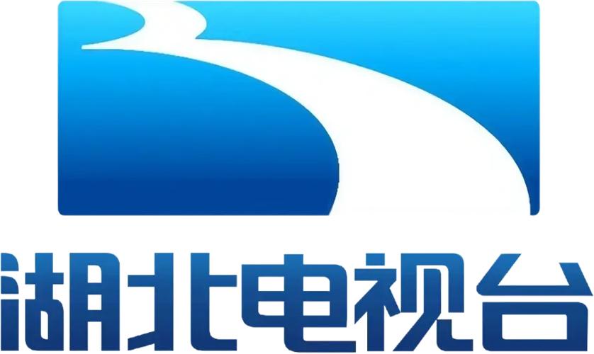 湖北电视