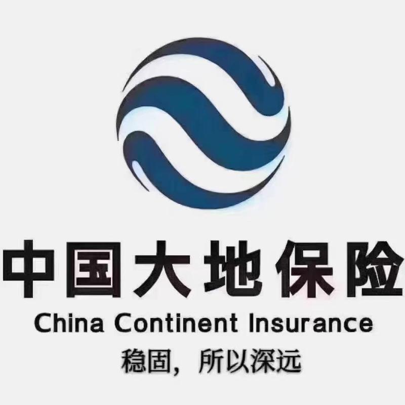 大地保险app