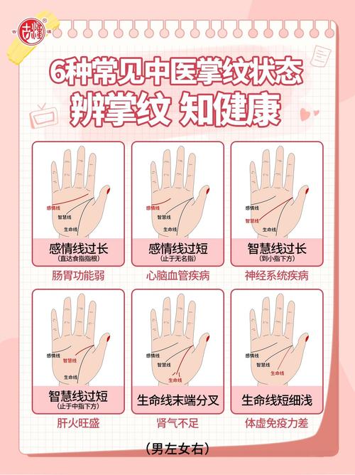 扫一扫识别手相