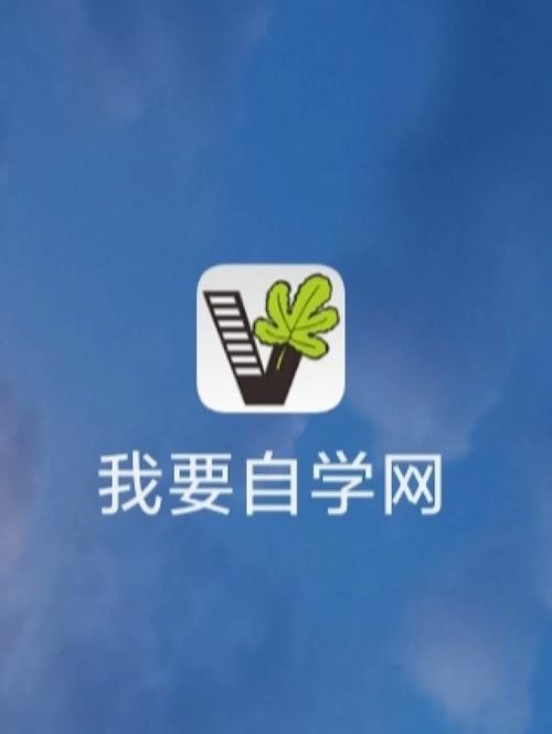 我的自学网
