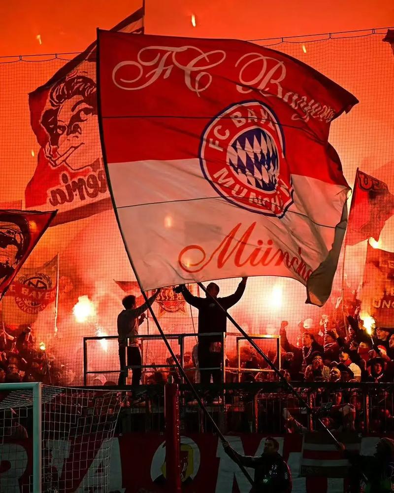 拜仁慕尼黑官网截图