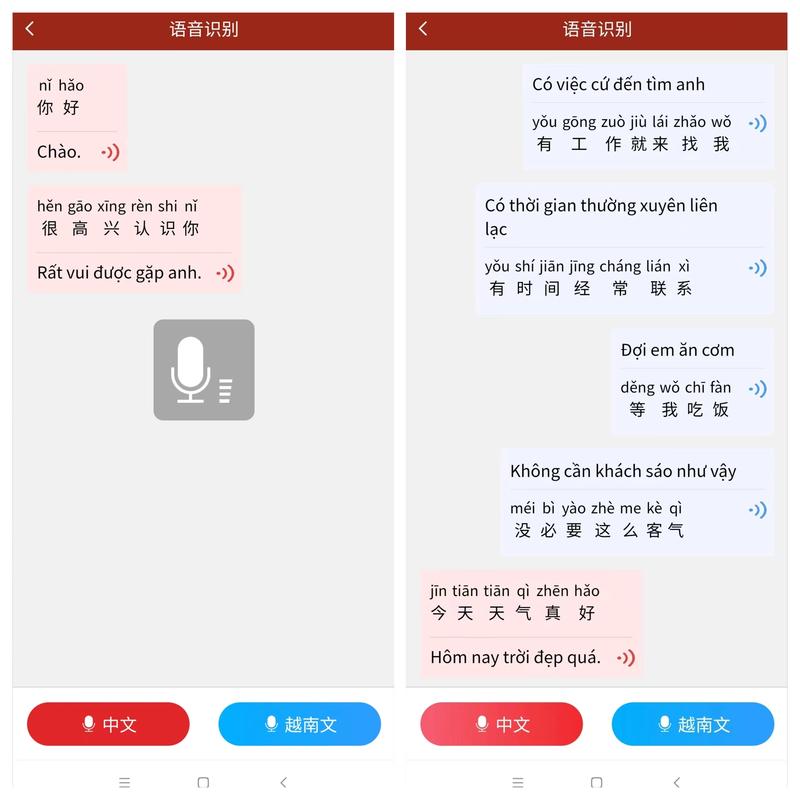 中越翻译软件
