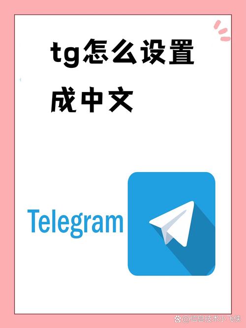 tg中文2026