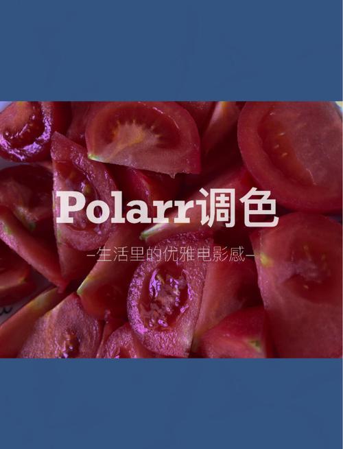 polarr2026