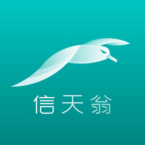 海信信天翁2026
