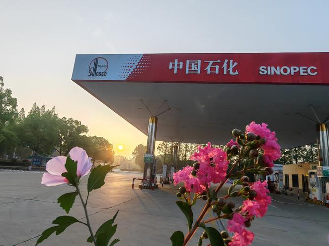 中国石化网上2026