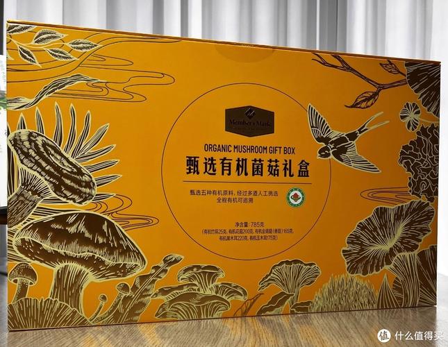 蘑菇盒子2026