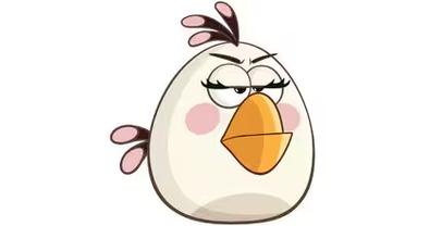 愤怒的小鸟白鸟2026