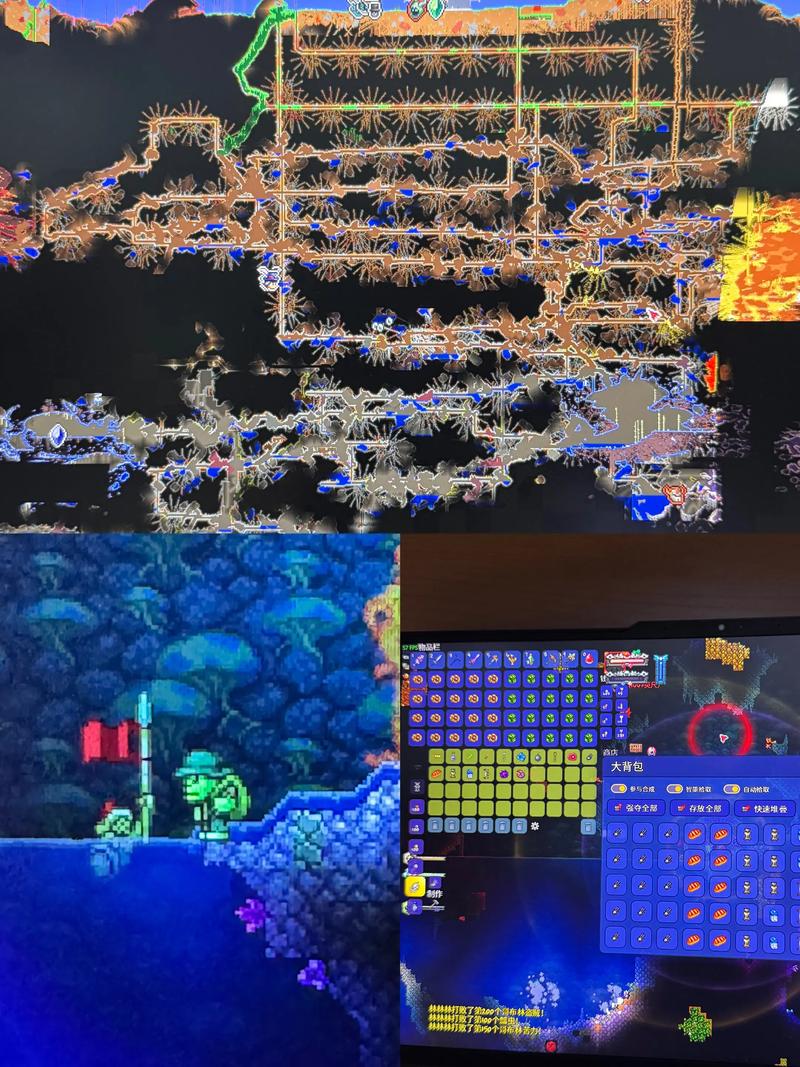 泰拉瑞亚骷髅商人2026