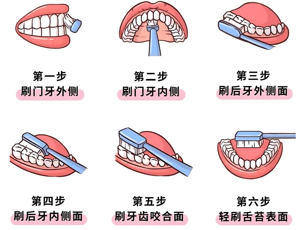 刷牙的正确方法视频2026