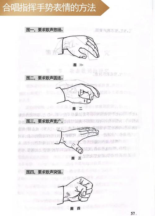指挥手势视频教程2026