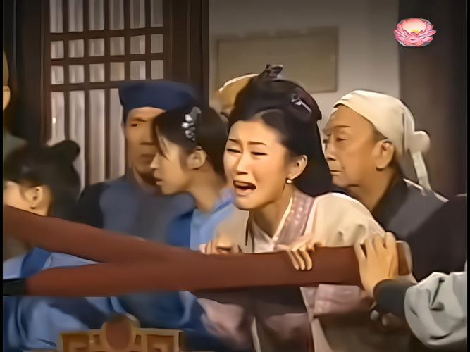 电视剧打板子视频2026截图