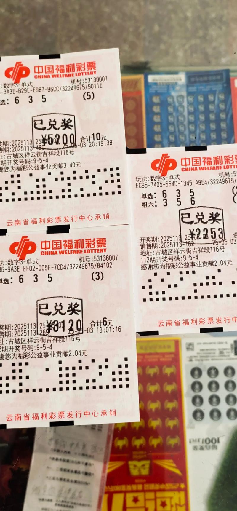 3d开奖视频2026