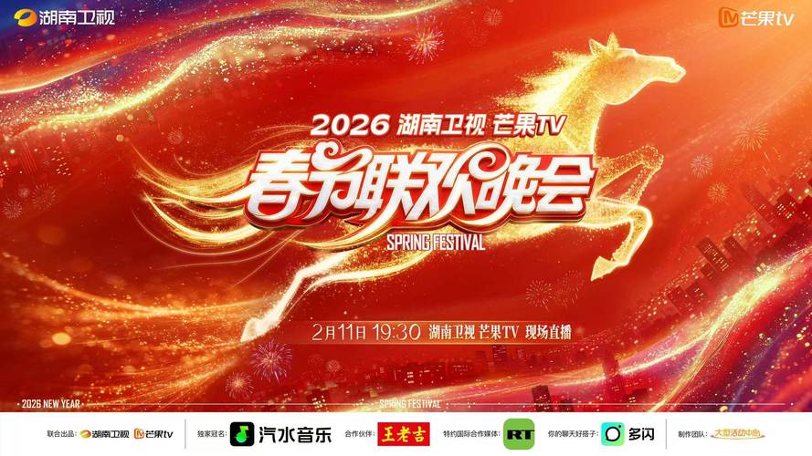 精彩视频在线观看2026