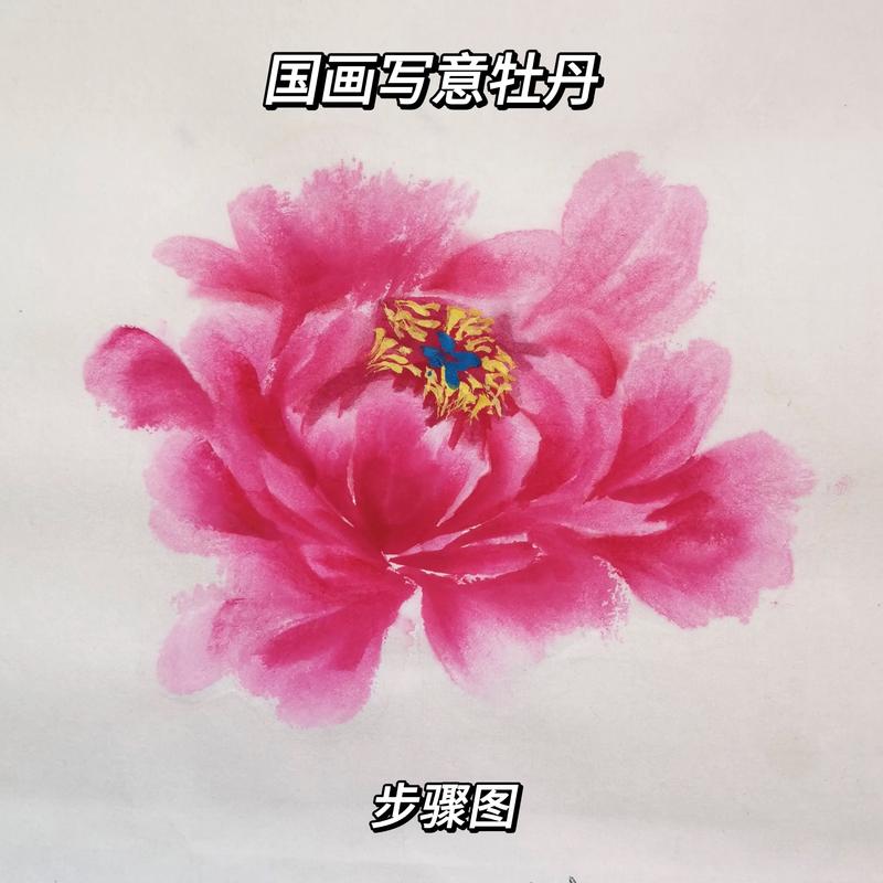 国画牡丹花教学视频2026
