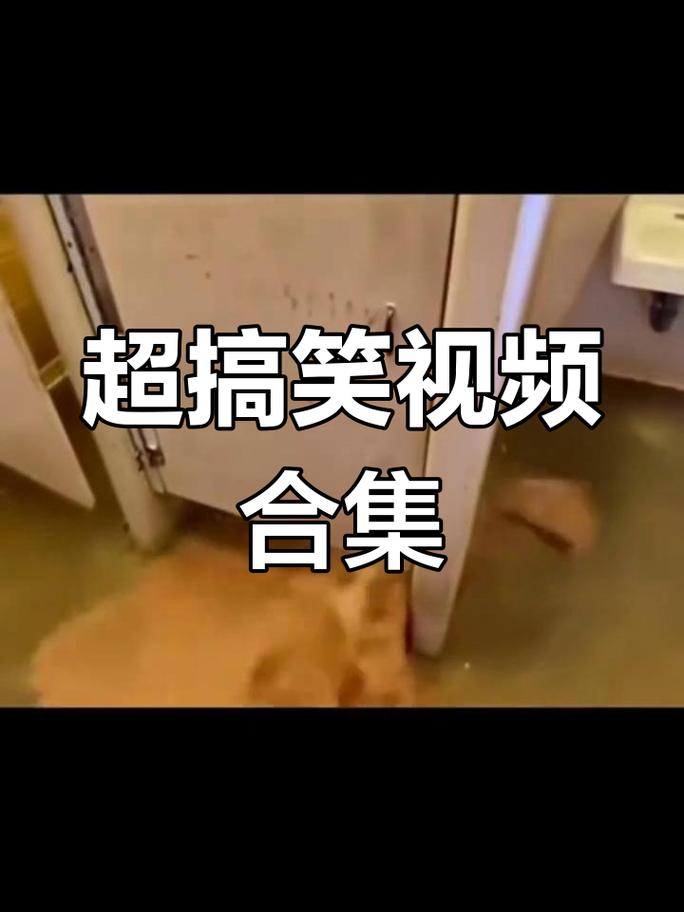 世界上最搞笑的视频2026