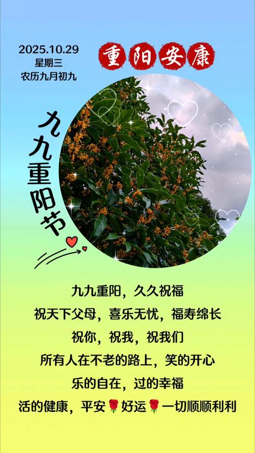 重阳节祝福视频2026截图