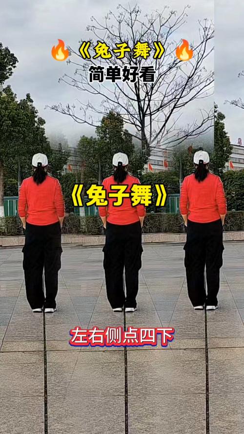 兔子舞舞蹈视频2026