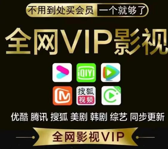 视频解析vip2026截图