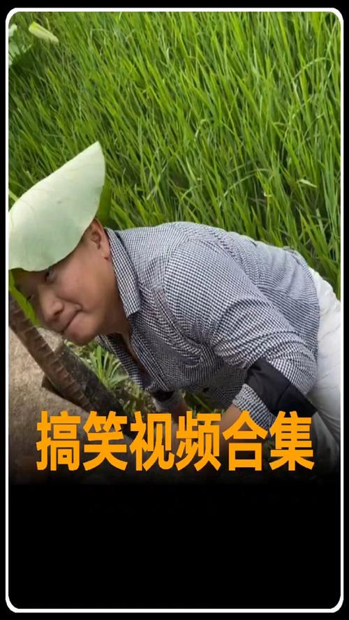播放搞笑视频2026截图
