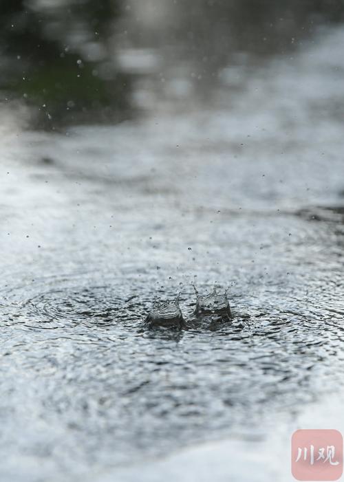 下雨的视频2026