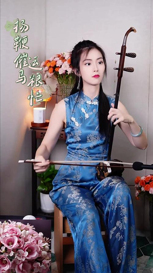 二胡流行歌曲视频2026