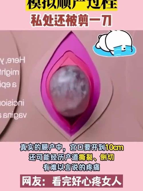 第一次破处视频2026