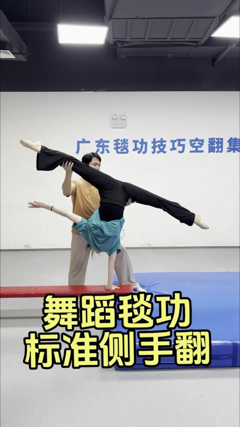 侧手翻教学视频2026截图