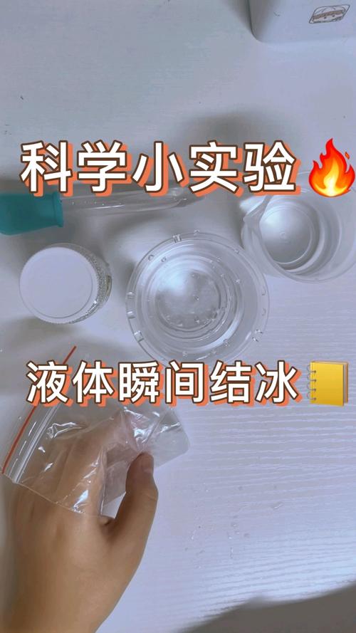 小实验视频2026