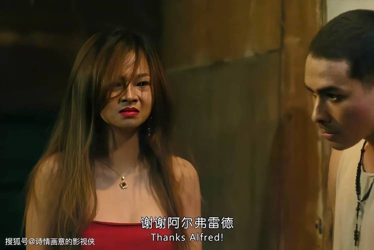 伦理片视频在线2026