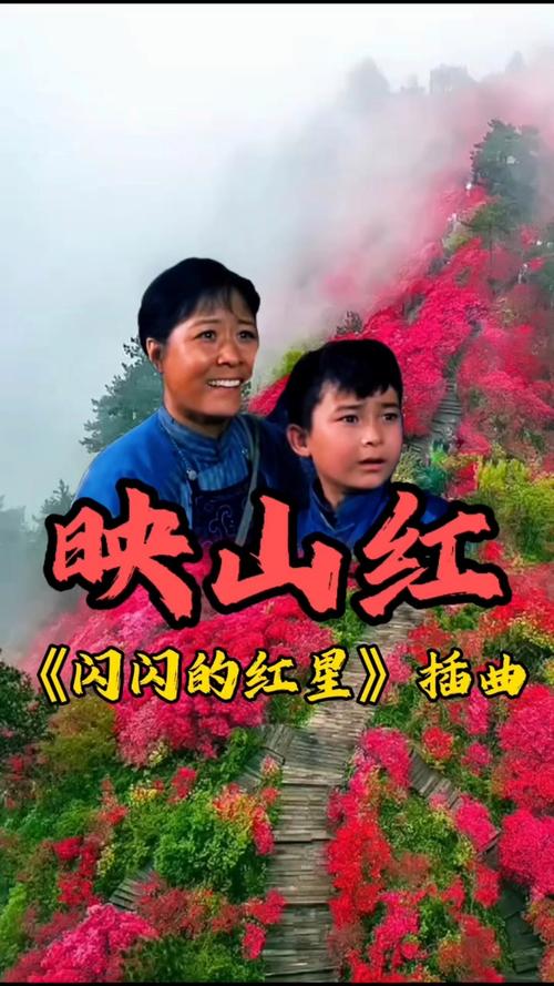 映山红歌曲视频2026