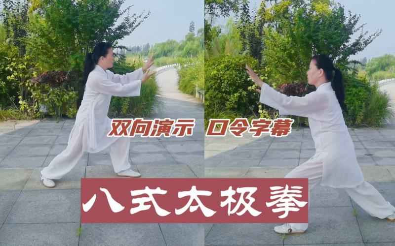 八式太极拳教学视频2026截图