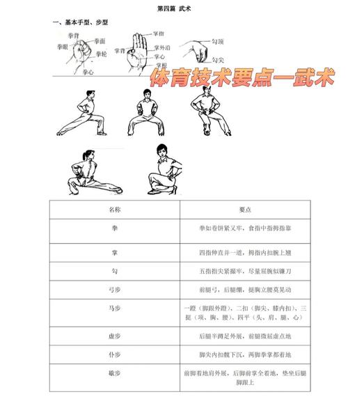 武术基本功教学视频2026截图