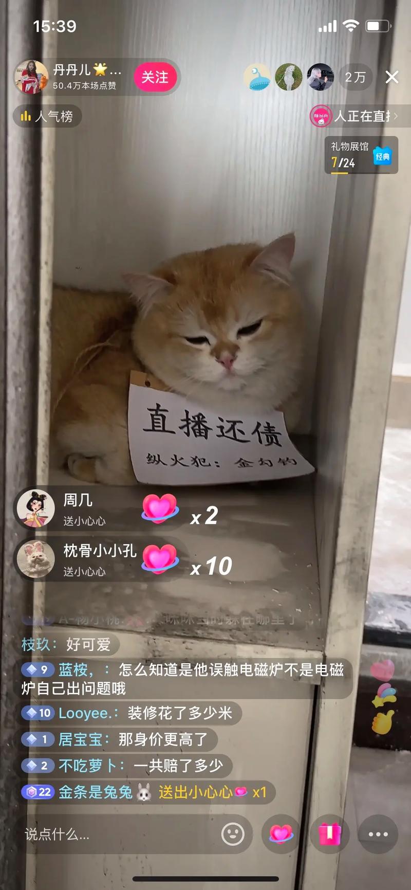 猫咪视频网站2026