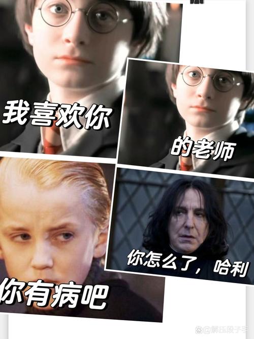 哈利波特搞笑视频2026