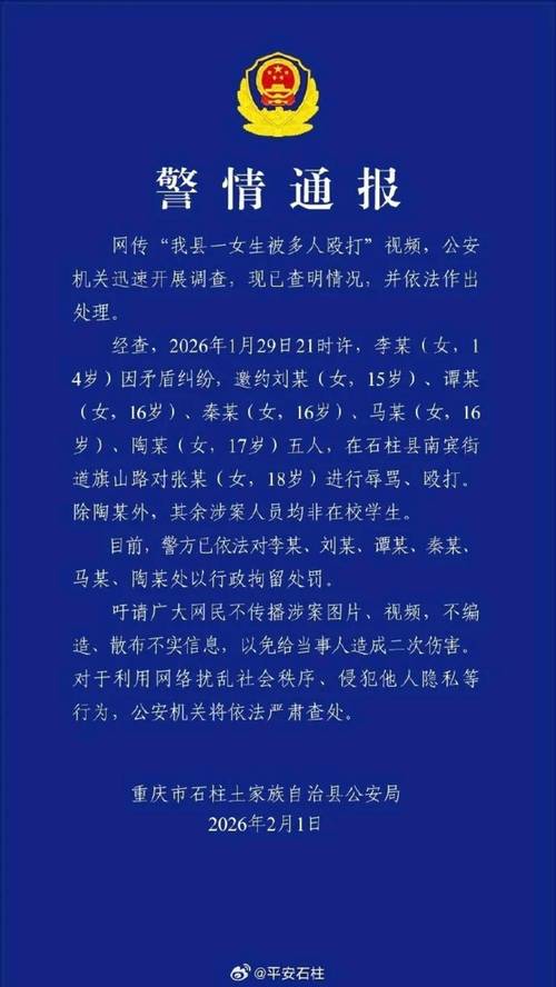 成人在线高清视频2026