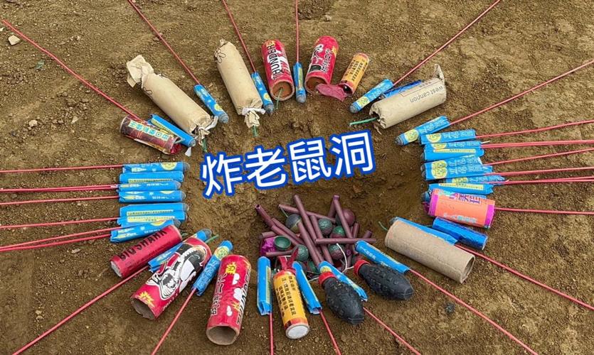 鞭炮炸老鼠视频2026