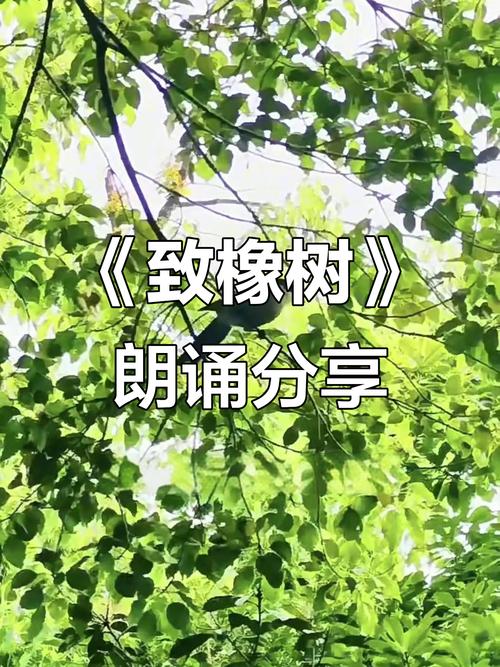 致橡树朗诵视频2026