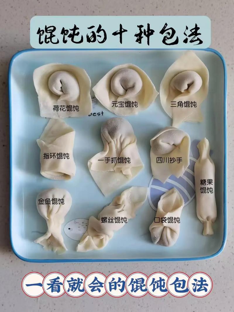 包馄饨手法视频2026