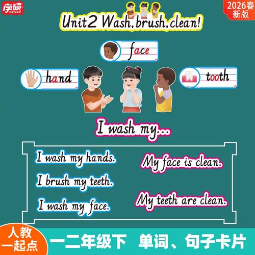 小学英语视频教程2026