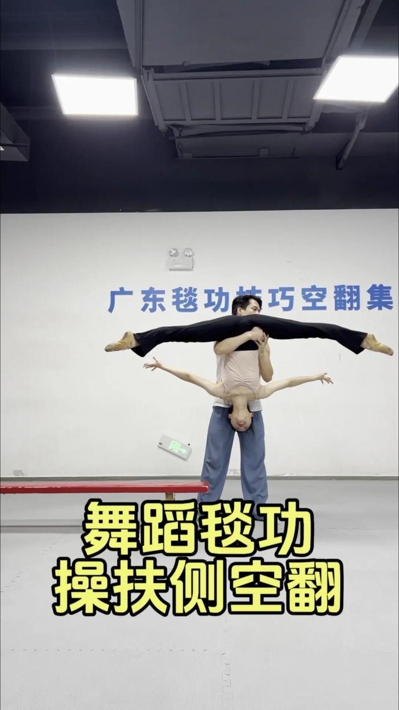 侧空翻教学视频2026
