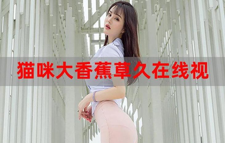 香蕉视频伊人2026
