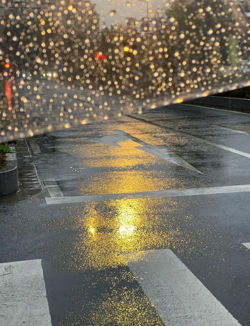 下雨视频素材2026