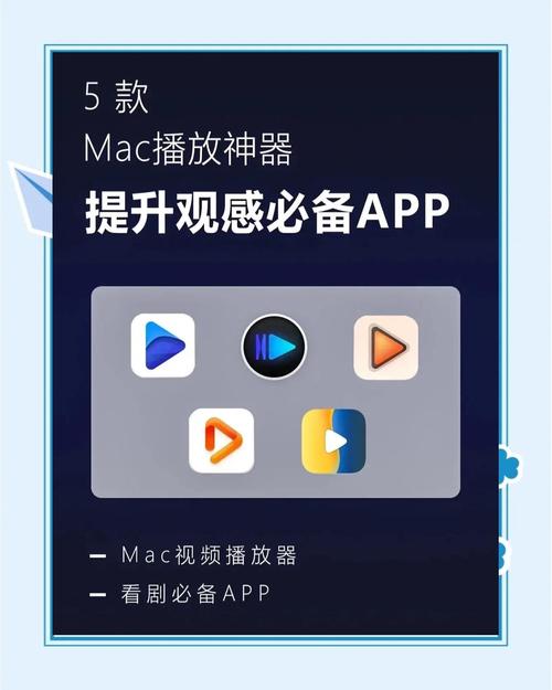 播放视频的软件2026截图