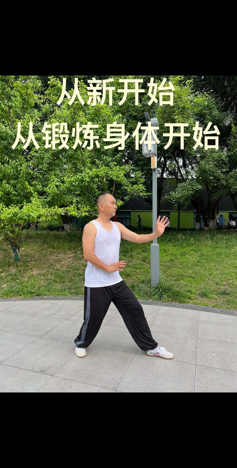 形意拳三体式教学视频2026