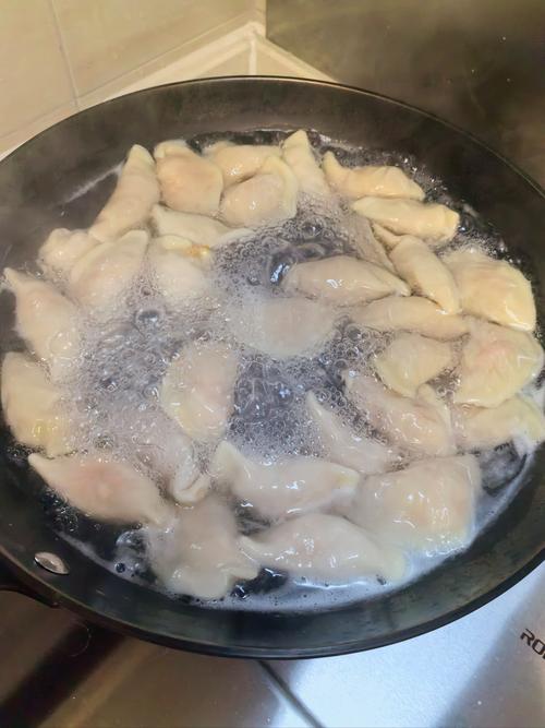 煮饺子视频2026截图