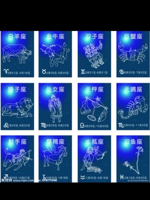 十二星座视频2026