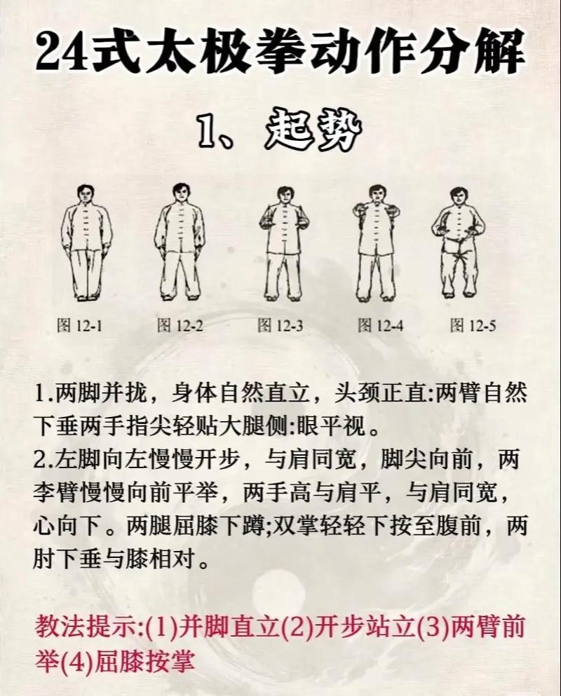 24式杨氏太极拳分解教学全套视频2026