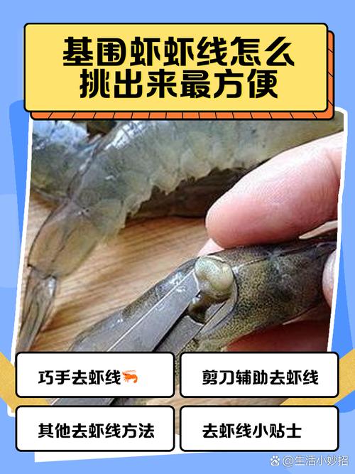 怎么挑虾线视频2026