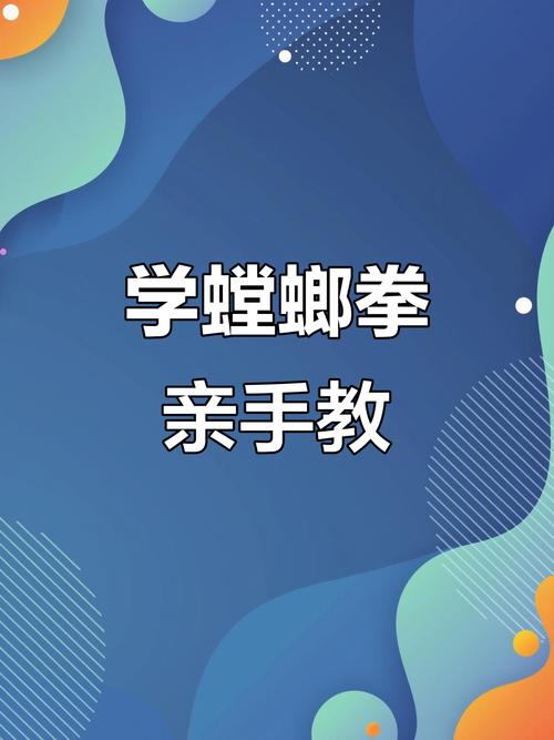 螳螂拳教学视频2026